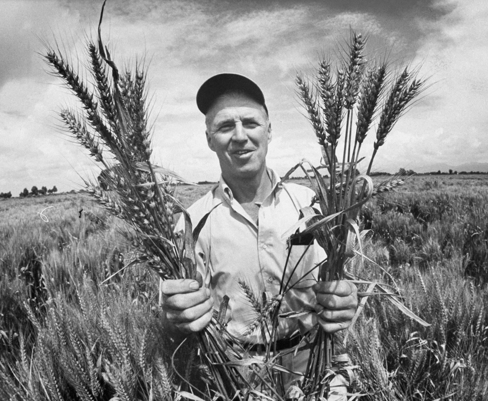 borlaug